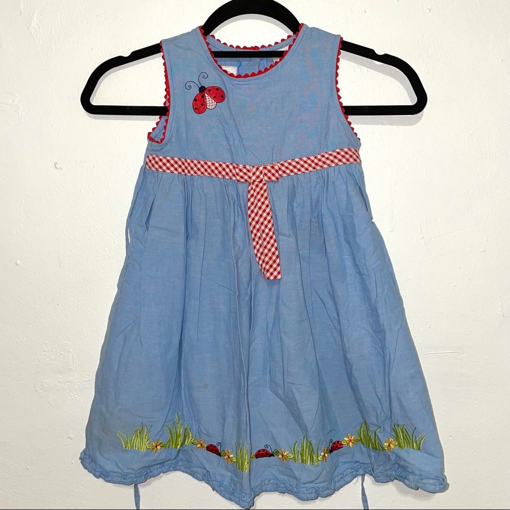 Red and blue ladybug kids dress